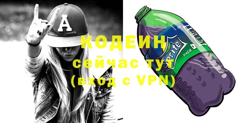 Codein Purple Drank  где можно купить   Инсар 